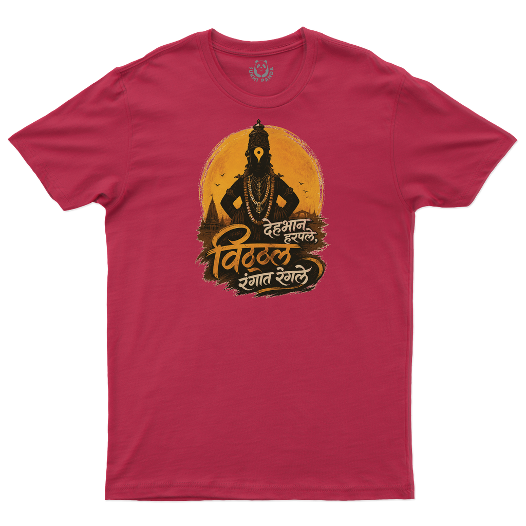 Colors of Vitthal!